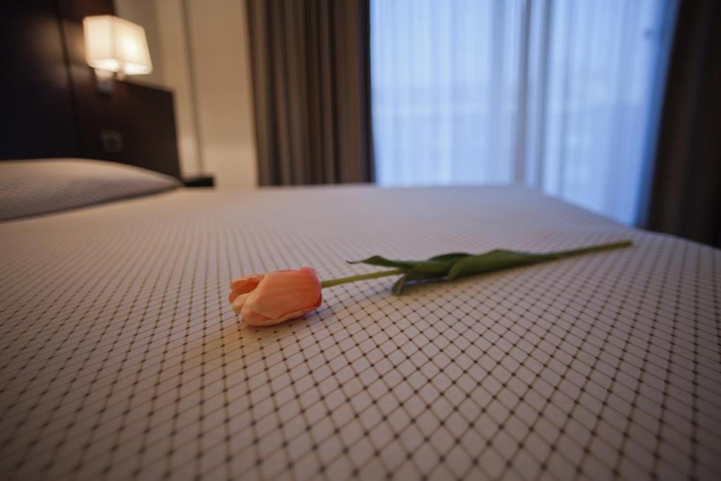 Hotel Principe Residence Vasto Kamer foto